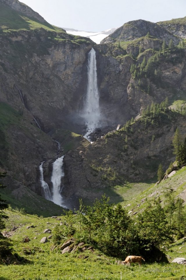 20120630_022